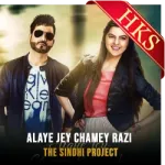 Alaye Jey Chamey Razi (High Quality) - MP3