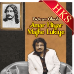 Amar Hiyar Majhe Lukiye - MP3