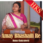 Amay Bhashaili Re (Female Version) - MP3