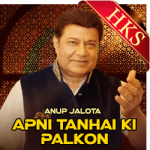 Apni Tanhai Ki Palkon (Live) - MP3