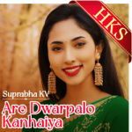 Are Dwarpalo Kanhaiya (LoFi Mix) - MP3