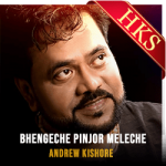 Bhengeche Pinjor Meleche  - MP3