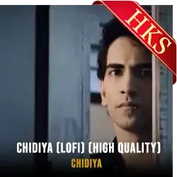  Chidiya (Lofi) (High Quality) Video Karaoke with Lyrics