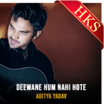 Deewane Hum Nahi Hote (High Quality) - MP3