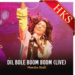  Dil Bole Boom Boom (Live) MP3 Karaoke