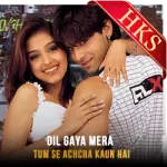 Dil Gaya Mera (Without Chorus) - MP3