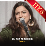 Dil Main Ab Yun Tere - MP3 + VIDEO