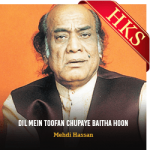 Dil Mein Toofan Chupaye Baitha Hoon - MP3