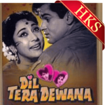 Dil Tera Diwana Hai Sanam - MP3 + VIDEO