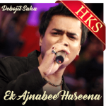 Ek Ajnabee Haseena (Cover) - MP3