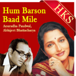 Hum Barson Baad Mile - MP3