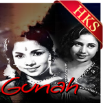 Hum Par Jadoo Dal Gaye - MP3