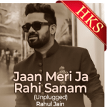 Jaan Meri Jaa Rahi Sanam (Unplugged) - MP3 + VIDEO