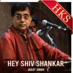 Hey Shiv Shankar (Bhajan) - MP3