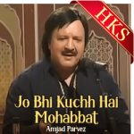 Jo Bhi Kuchh Hai Mohabbat(Pakistani) - MP3