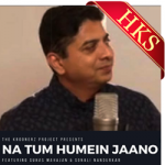Na Tum Humein Jaano (With Female Vocals) - MP3 + VIDEO