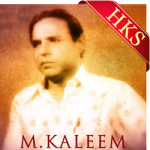 Naakaam Rahe Mere Geet - MP3