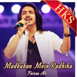 Madhuban Mein Radhika (Cover) - MP3