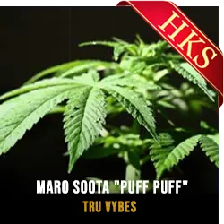  Maro Soota Puff Puff MP3 Karaoke