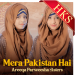 Mera Pakistan Hai Yeh Tera - MP3