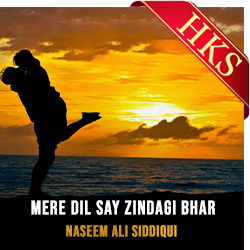 Mere Dil Say Zindagi Bhar (With Guide Music) - MP3
