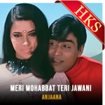 Meri Mohabbat Teri Jawani (High Quality) - MP3 + VIDEO