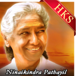 Ninaikindra Pathayil - MP3