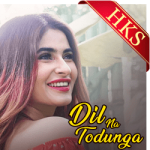 Dil Na Todunga - MP3 + VIDEO