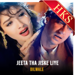 Jeeta Tha Jiske Liye  - MP3 