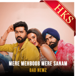 Mere Mehboob Mere Sanam (Bad Newz) (Without Chorus) - MP3 + VIDEO