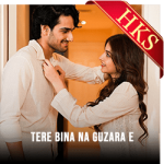 Tere Bina Na Guzara (Without Chorus) - MP3