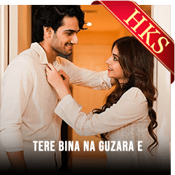 Tere Bina Na Guzara E MP3 Karaoke