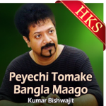 Peyechi Tomake Bangla Maago - MP3