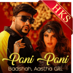 Paani Paani - MP3 + VIDEO