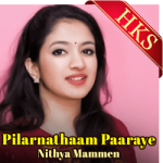 Pilarnathaam Paaraye (Cover) (Malayalam Christian) - MP3