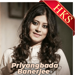  Na Jao Saiyaan (Cover) MP3 Karaoke