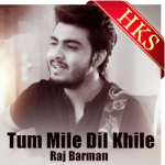 Tum Mile Dil Khile (Cover) - MP3