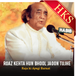Roaz Kehta Hun Bhool Jaoon Tujhe  (With Guide Music) - MP3