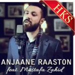 Anjaane Raaston Mein - MP3 + VIDEO