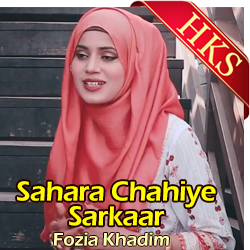  Sahara Chahiye Sarkaar Video Karaoke with Lyrics