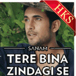 Tere Bina Zindagi Se (Unplugged) - MP3