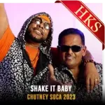 Shake It Baby - MP3