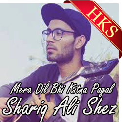  Mera Dil Bhi Kitna Pagal (Cover) Video Karaoke with Lyrics