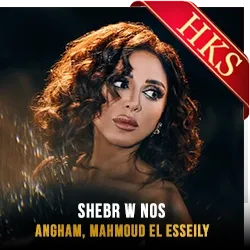  Shebr W Nos (Without Chorus) MP3 Karaoke