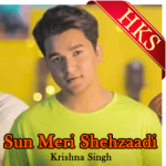 Sun Meri Shehzaadi (Saaton Janam) (Cover) - MP3