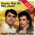 Sunte Hai Ki Mil Jaati (Live) - MP3 + VIDEO 