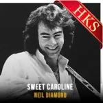 Sweet Caroline (Single Version) - MP3