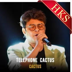  Telephone Cactus MP3 Karaoke