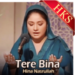 Tere Bina - MP3