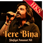 Tere Bina(Pakistani) - MP3